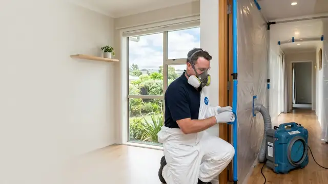 Mould Remediation in Auckland — CleaningPro service