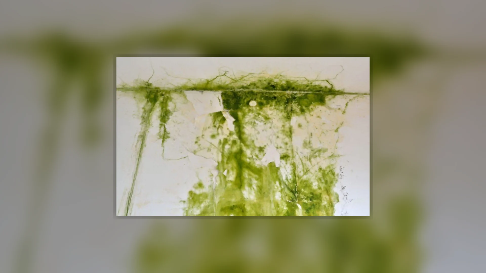 Odor Removal In Your Home: A Savvy Guide of 7 Ways of Getting Rid of Musty Smells