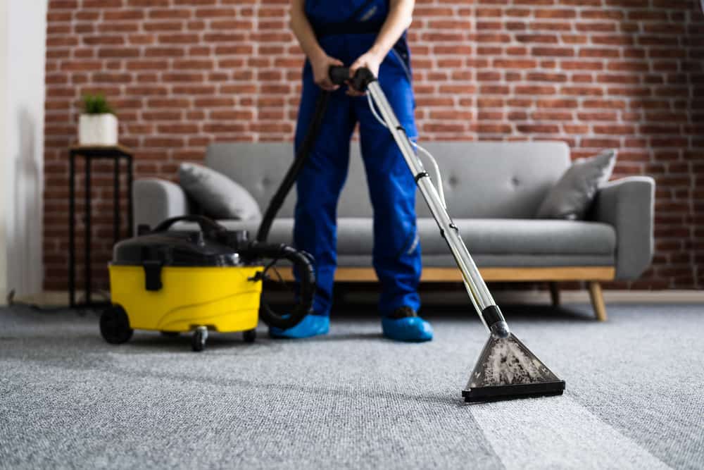 Carpet Cleaning Auckland / Carpet Cleaners Auckland in Auckland — carpet cleaning regular schedule image