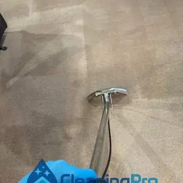 Curtain Cleaning Auckland in Auckland — carpet cleaning service image