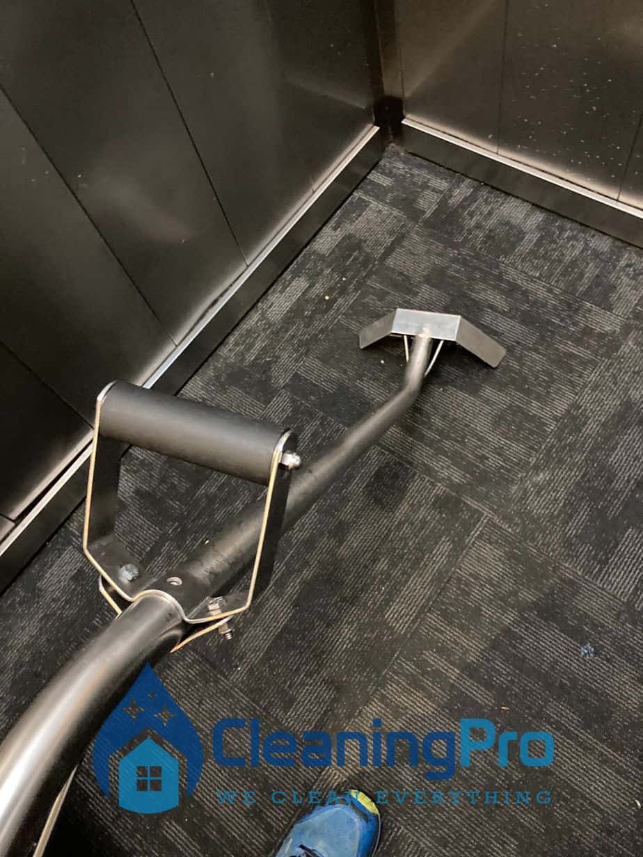 Commercial Cleaning Services Auckland in Auckland — carpet cleaning service image