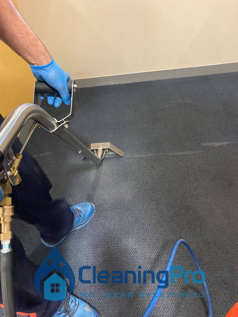 Auckland Commercial Carpet Cleaning Service in Auckland — carpet cleaning service image