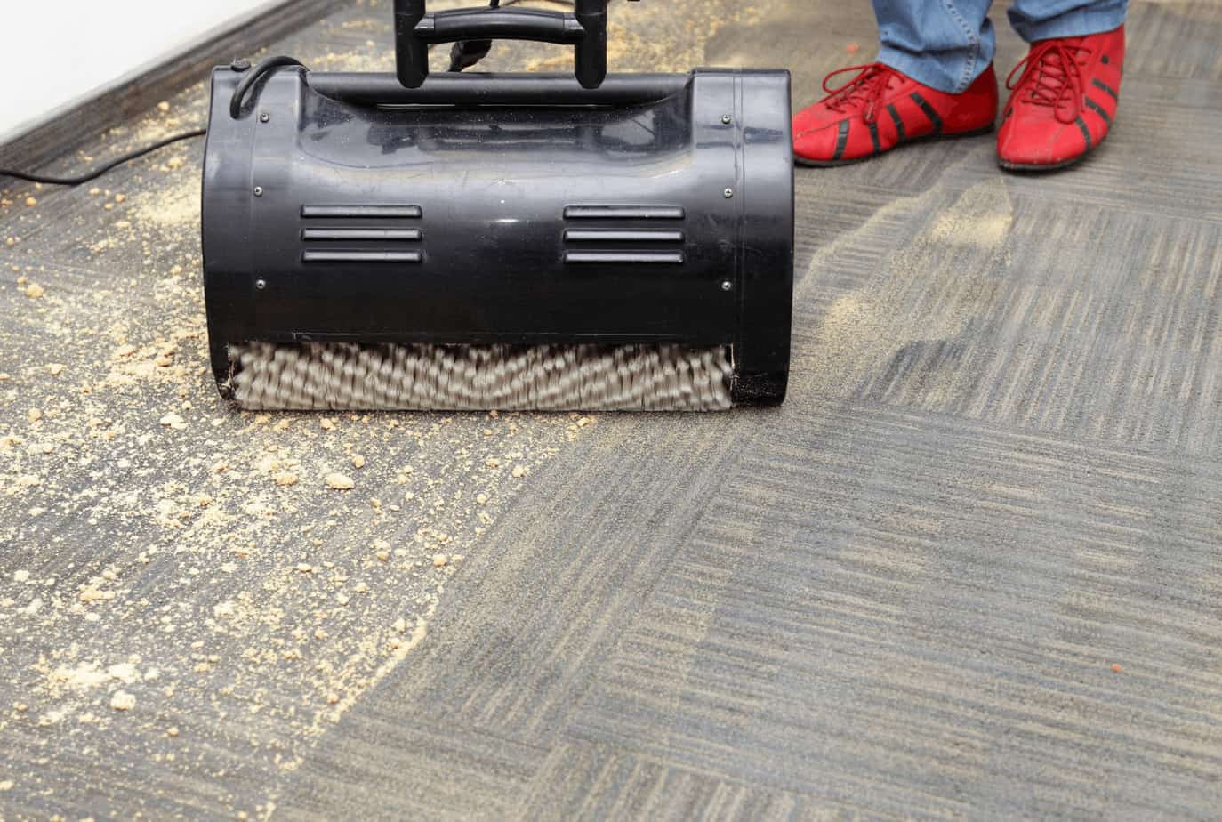 Carpet Cleaning Auckland / Carpet Cleaners Auckland detail