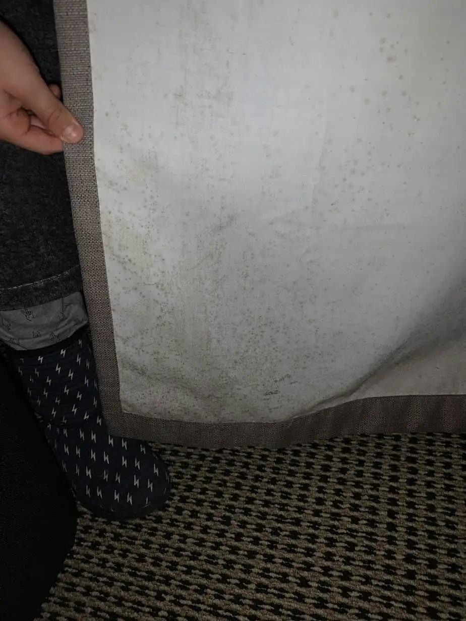 Inspection during curtain cleaning