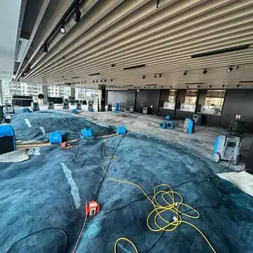 Flood Restoration and Water Damage Cleaning Auckland operational detail