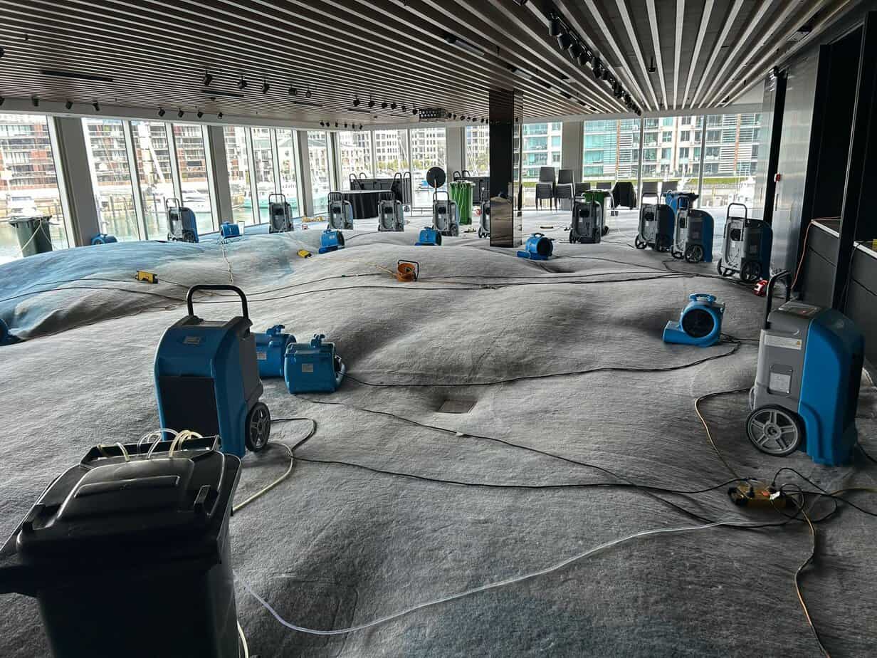 Flood Restoration and Water Damage Cleaning Auckland service scene