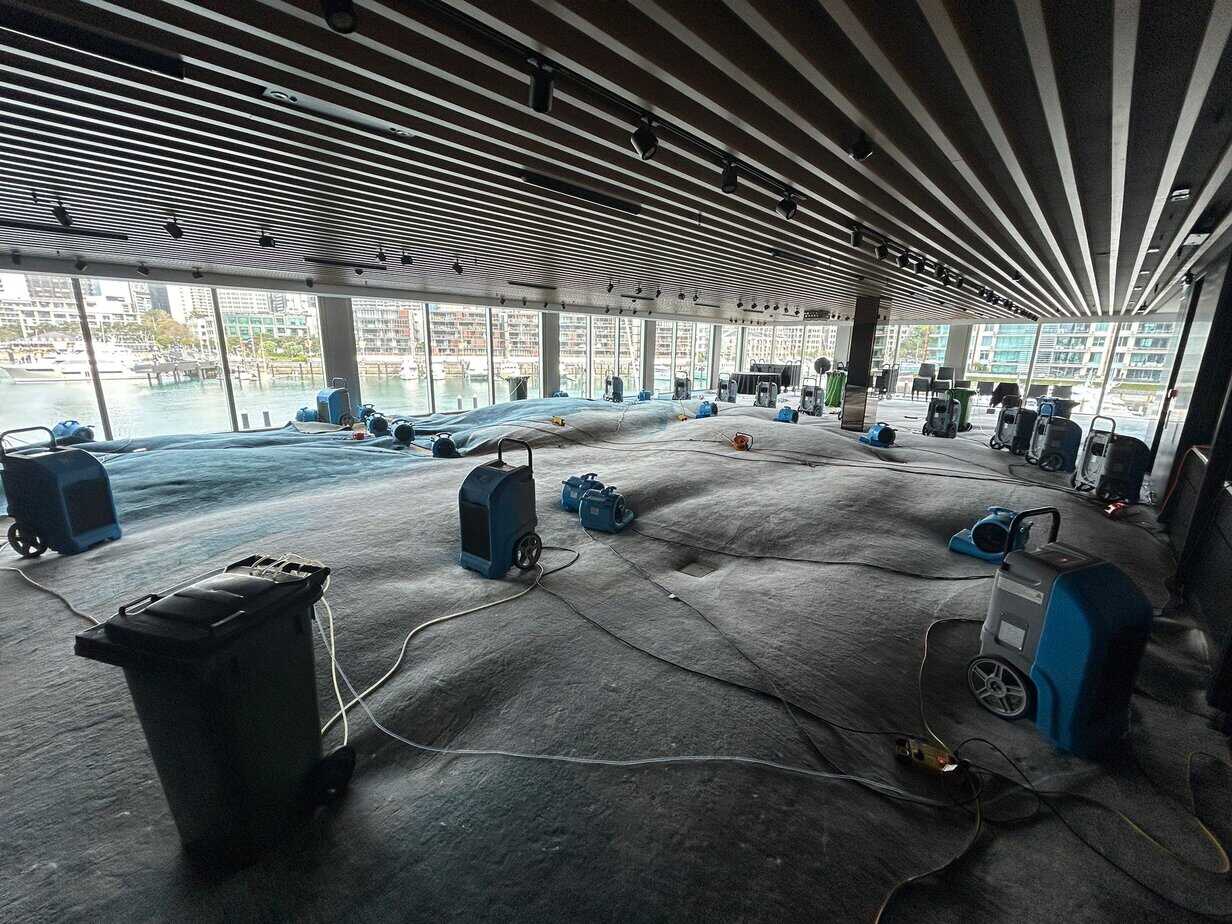 Flood Restoration and Water Damage Cleaning Auckland in Auckland — CleaningPro service detail