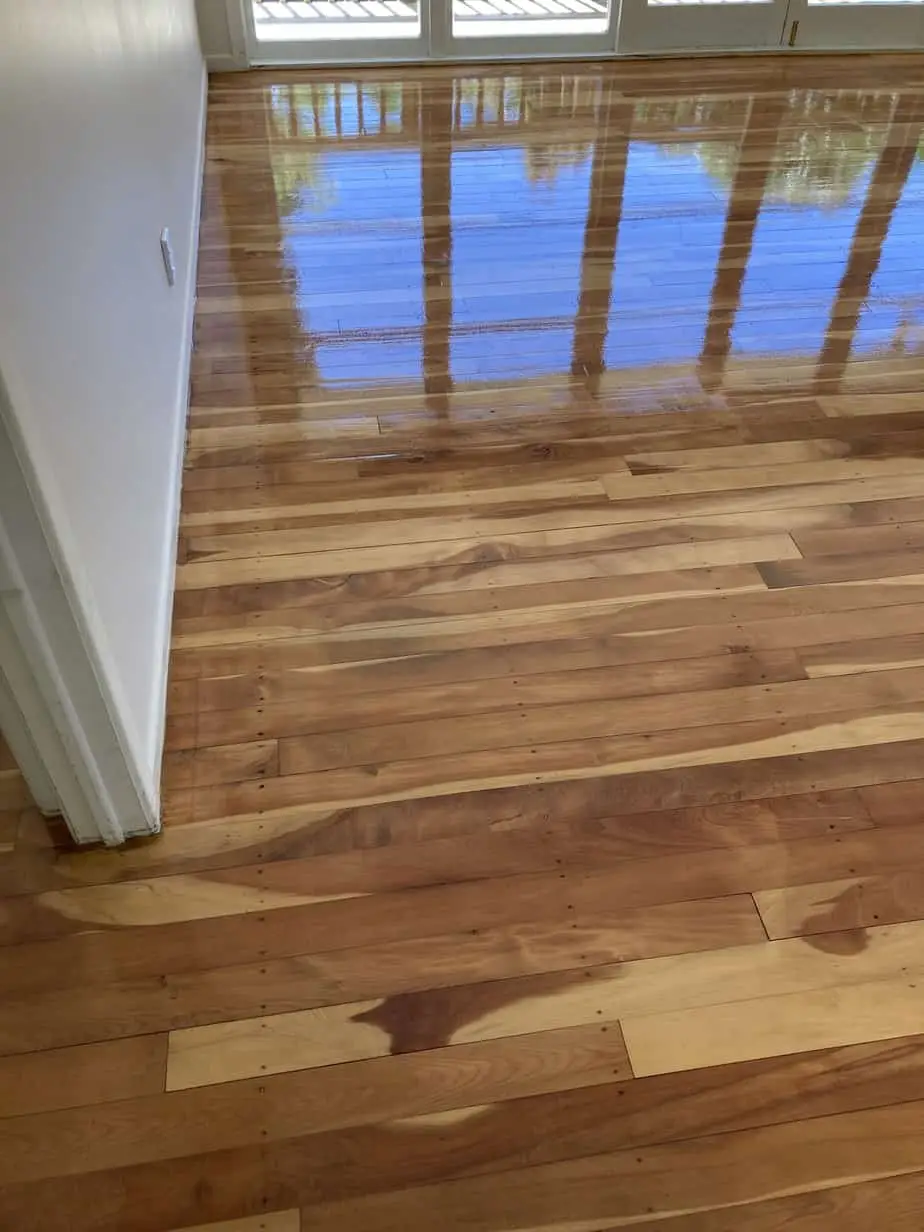 Floor Sanding Auckland | Wooden Floor Polishing | CleaningPro process evidence