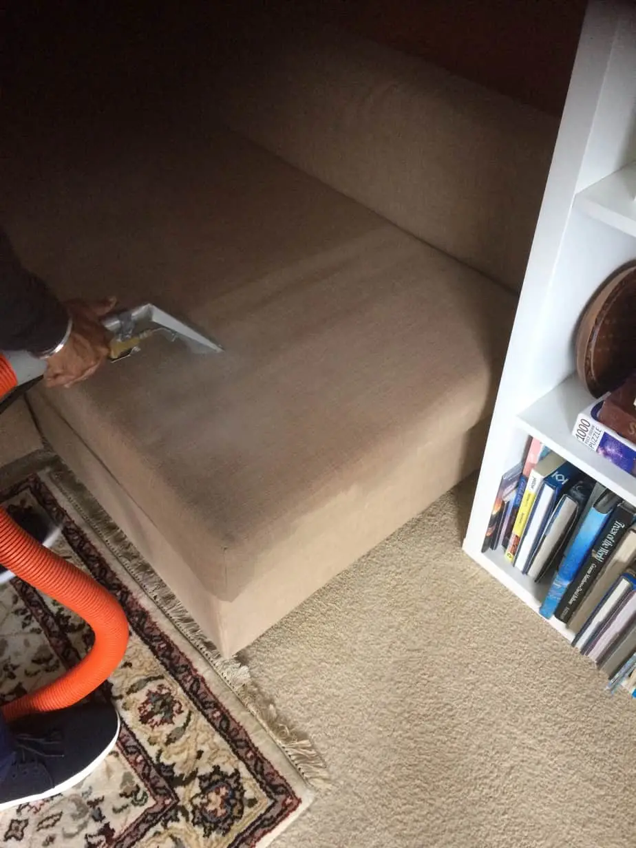 Upholstery Cleaning Auckland detail