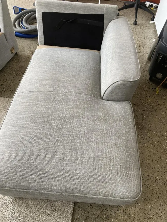 Upholstery Cleaning Auckland in Auckland — upholstery cleaned sofa image